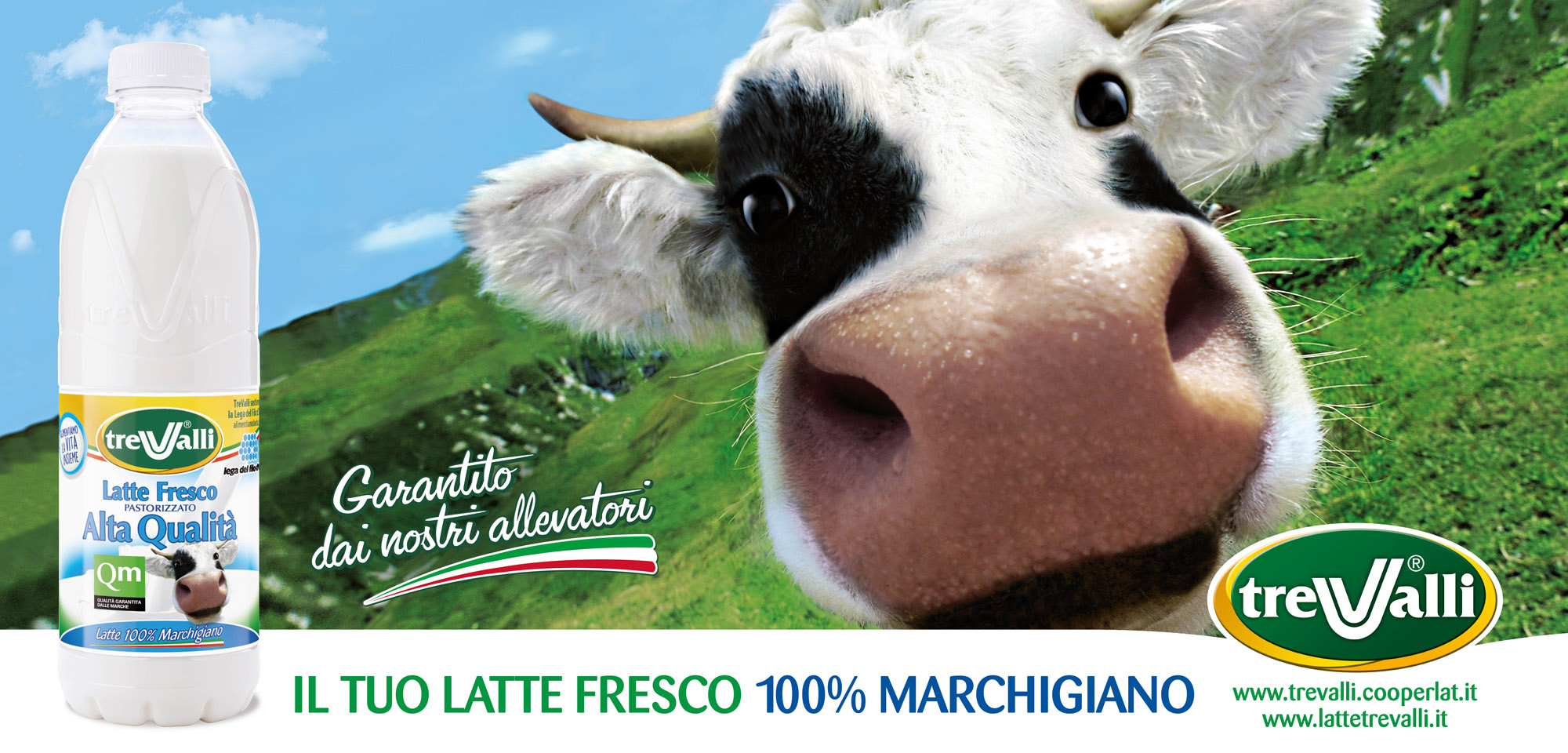 Campagna Trevalli - Cigno - FrescoMarche 2018