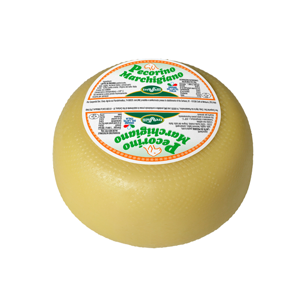 Pecorino 
Marchigiano