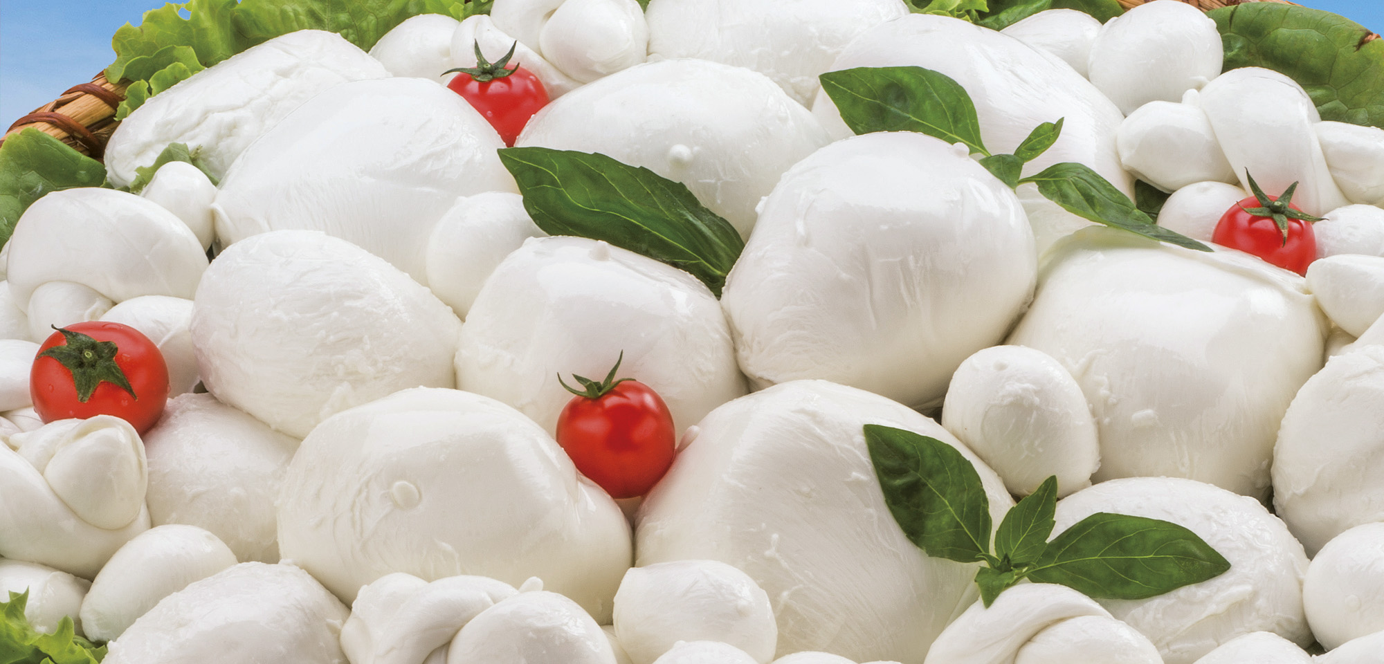 Sibilla Mozzarella Stg 100x140