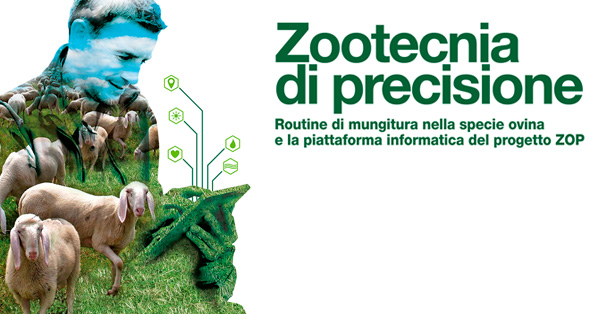 Progetto ZOP