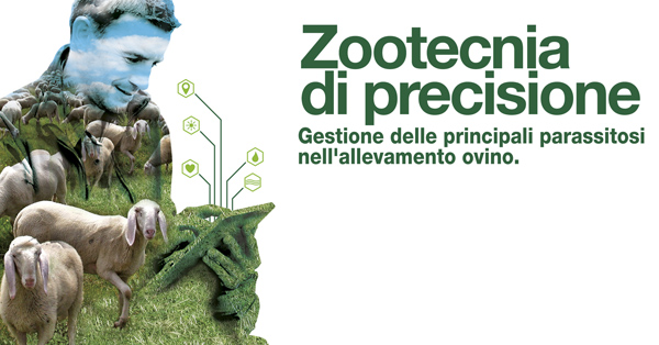 Progetto ZOP