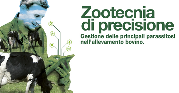 Progetto ZOP