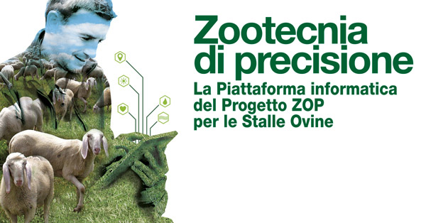 Progetto ZOP